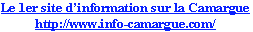 wp6efb69c1.png